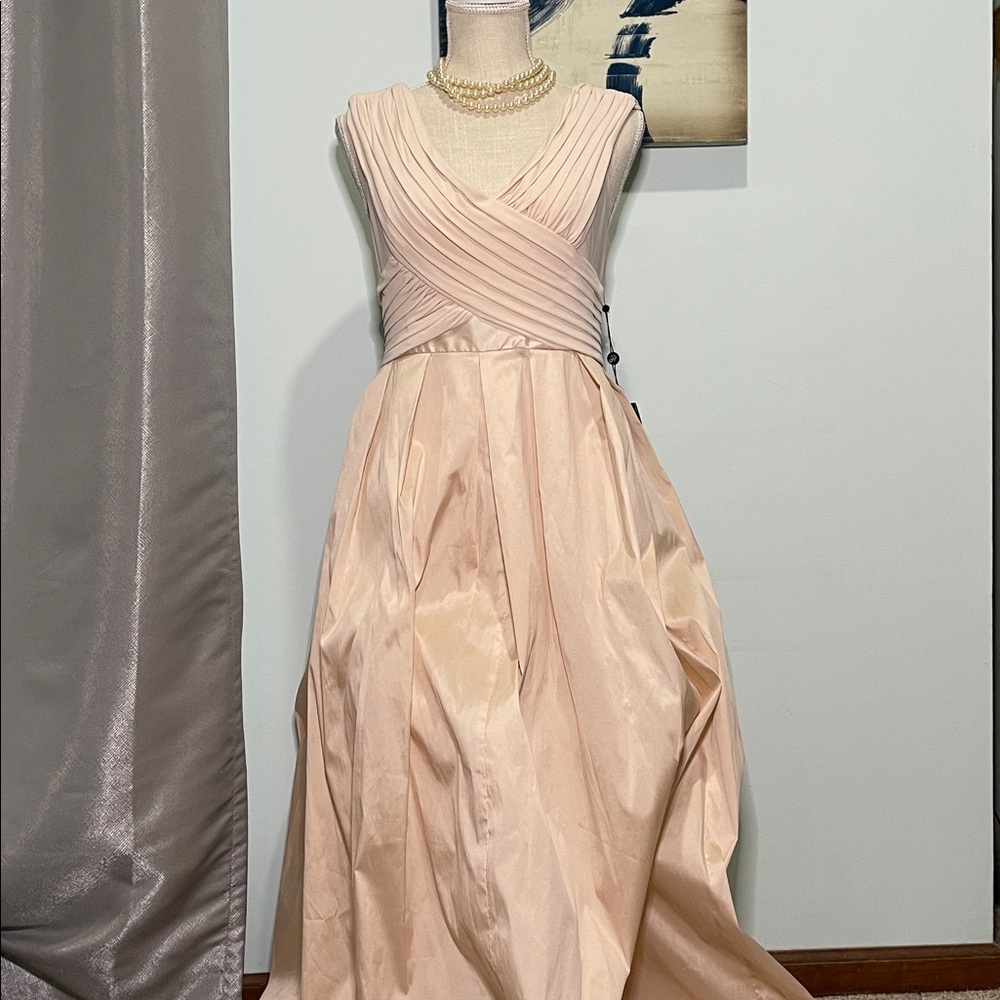 Adrianna Papell Elegant Blush Evening Gown Size 10Petite